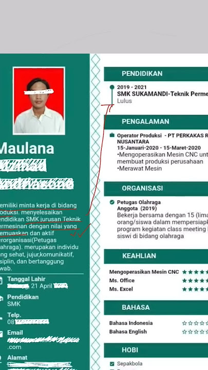 Review CV Lulusan SMK #shorts #vinamuliana #tips #kerja