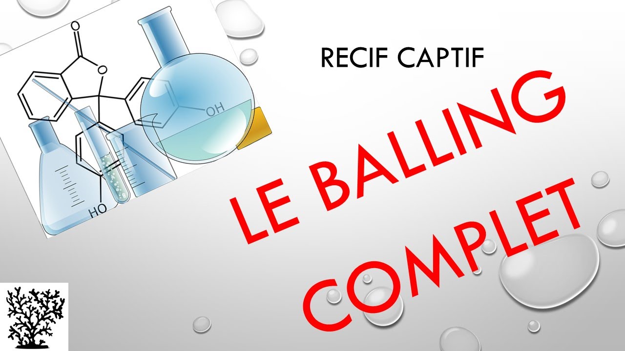 Chimie : Le balling avec oligo-elements - Mr Recif Captif #28
