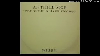 Miniatura de vídeo de "Anthill Mob - You Should Have Known (Todd Edwards 'You Should UK' Dub)"