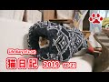 2019.10.21 みゃうの猫日記【Miaou みゃう】