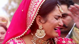 Nachda Palace Tak Jaavan || Wedding Highlight || DOP.LIFE SEEN SAVE MAKER VIDEO MIXING POINT|| #LSSM