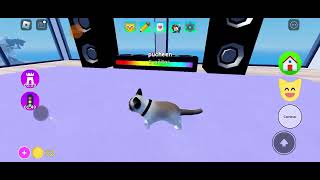 La vida de Puchin, el gatito feliz en Juego de Gatitos, Roblox.