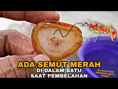 Video: Tempat Tidur Batu Hancur (45 Foto): Menghiasnya Dengan Tangan Anda Sendiri Dengan Batu Hancur Berwarna Hiasan. Bagaimana Membuat Pembuangan Dengan Runtuhan Putih? Reka Bentuk Katil