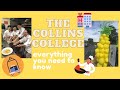 EVERYTHING YOU NEED TO KNOW ABOUT THE COLLINS COLLEGE *CLUBS, BEST PROFESSORS, INTERNSHIPS, ETC!