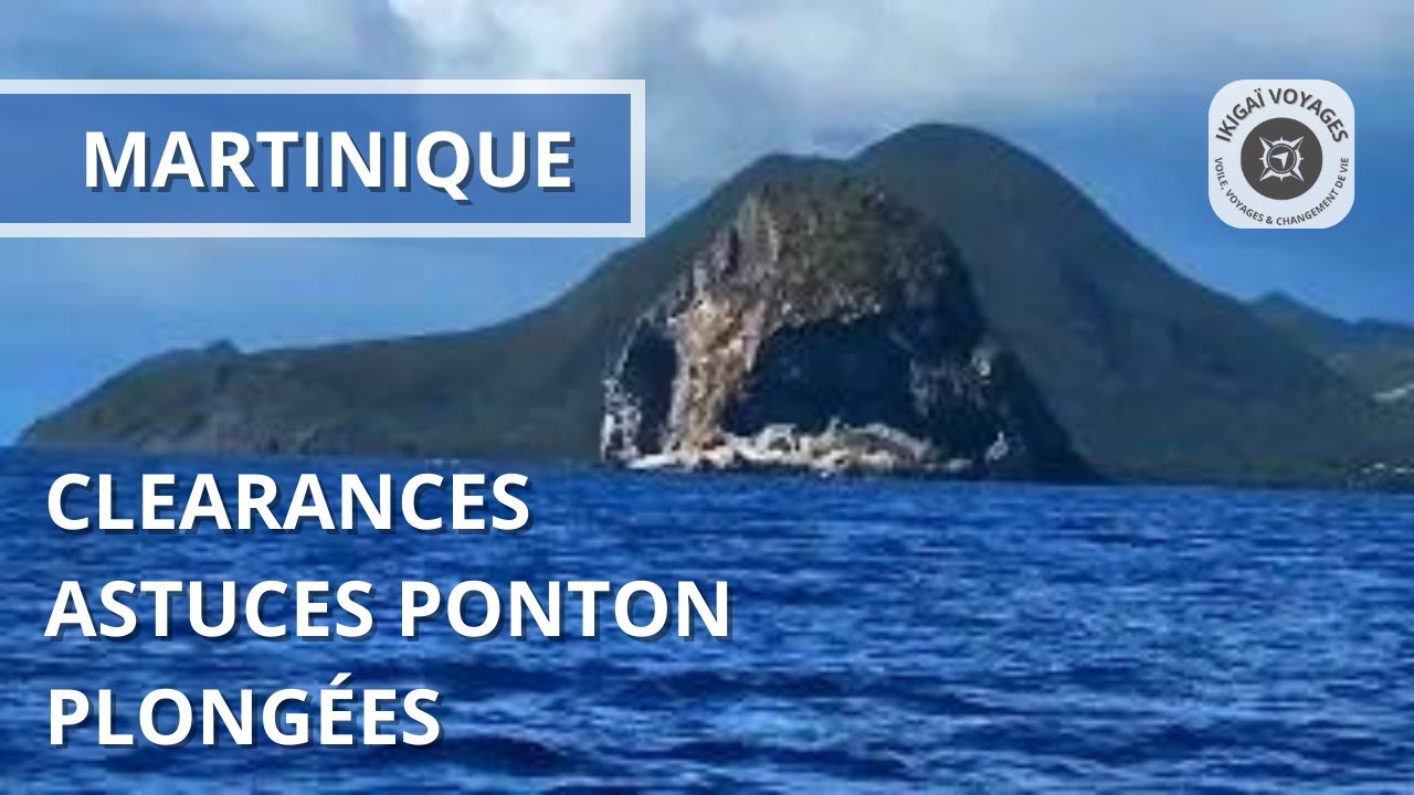 ⁣Clearances en Martinique, astuces ponton & plongées