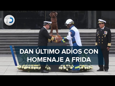 Despiden a Frida, la perrita rescatista, con homenaje