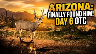 AZ OTC MULE DEER - DAY 5!
