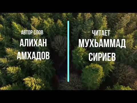 Стих Алихана Амхадова