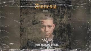 Download lagu Amnesia - La Santa Grifa (Yusak)