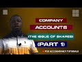 Company accounts the issue of shares  part 1