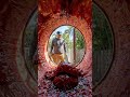 I Turned a Gaint Cherry Into a Cozy Room 🍒#shorts #timelapse #satisfying #viral #reels