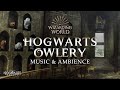 Harry Potter | Hogwarts Owlery Music &amp; Ambience, Peaceful and Relaxing Scenes with Day/Night Cycle 🦉