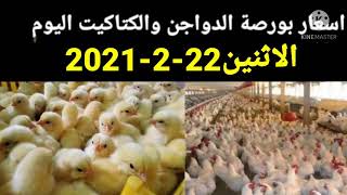 اسعار الدواجن اليوم الاثنين22-2-2020واسعار الكتاكيت