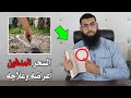أخـ ــطر وأقوى أنواع السحر المدفون أعراضه وعلاجه وطريقة فكه 