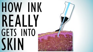How Ink REALLY Gets Into Skin! Tattoo Physics Part 1 | Tattoo Overview | Episode 8