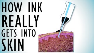 How Ink Really Gets Into Skin Tattoo Physics Part 1 Tattoo Overview Episode 8