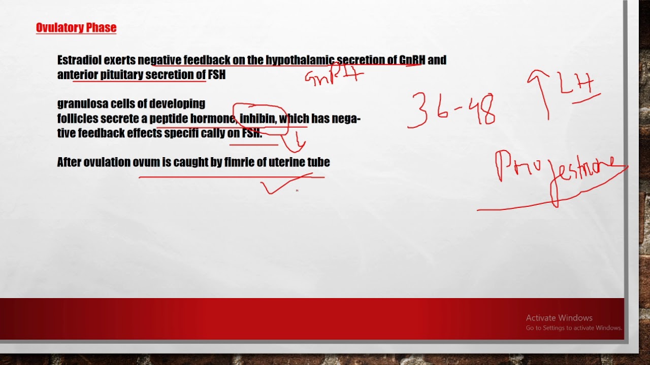 Reproductive Physiology: Female Reproductive Cycle (In details) - YouTube