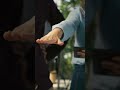 Cultivating a Positive Career Mindset