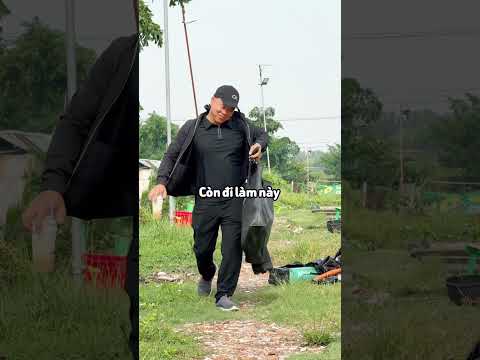 Đi câu cá khác đi làm như thế nào #chungnguyenfishing #cauca #shorts