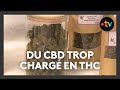 Cannabis ils vendaient du cbd beaucoup trop charg en thc