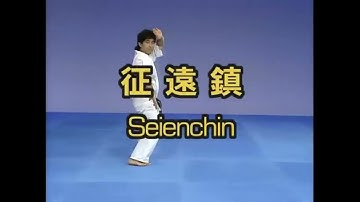 Seienchin – Kyokushin Karate Kata Tutorial 🥋 🔥