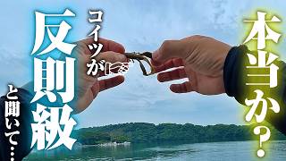 このルアーがチート級と聞いて試してみた結果…確かに釣れる。ただ、めちゃくちゃくさい。