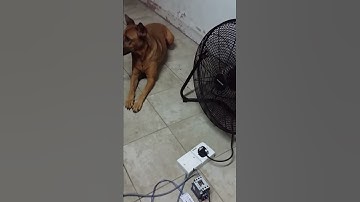 Driving high loads, especially inductive using a Sonoff Basic