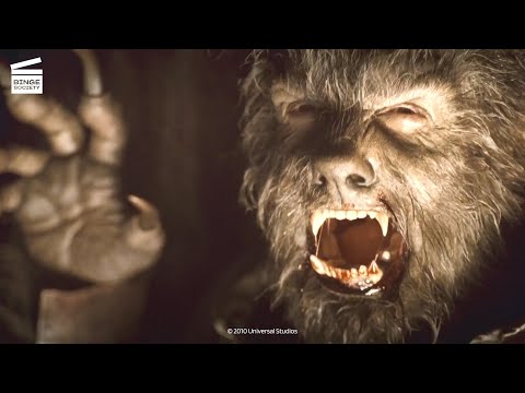 Wolfman : Lawrence se transforme en loup-garou HD CLIP
