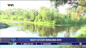 Cà Mau nguy cơ cháy rừng mùa khô | VTVWDB