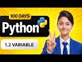 Python Variables Explained in Hindi 🔥 Beginners Make This Mistake | Day 1 Part 2