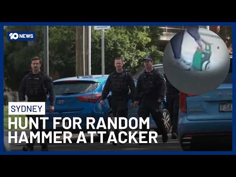 Sydney Police Hunting For Man Behind Two Random Hammer Attacks | 10 News