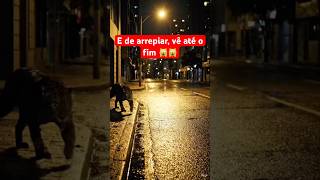 #Onça #MistérioNaMata #PredadorSilencioso #SegredosDaFloresta #misterioanimal #shortes #viral