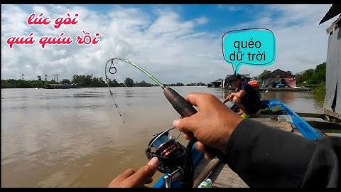 Hôm nay vô mánh câu trúng bầy cá lăng giựt thấy mê, với bài mòi cực nhạy @MinhTâm67vlocg