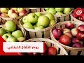 يوم التفاح اللبناني عرس وطني لإنعاش السوق المحلي والخارجي 