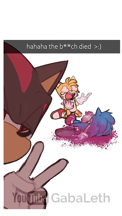 Sonic and Shadow despise each other