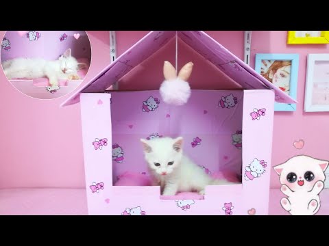 طريقه عمل بيت للقطه من الكرتون      