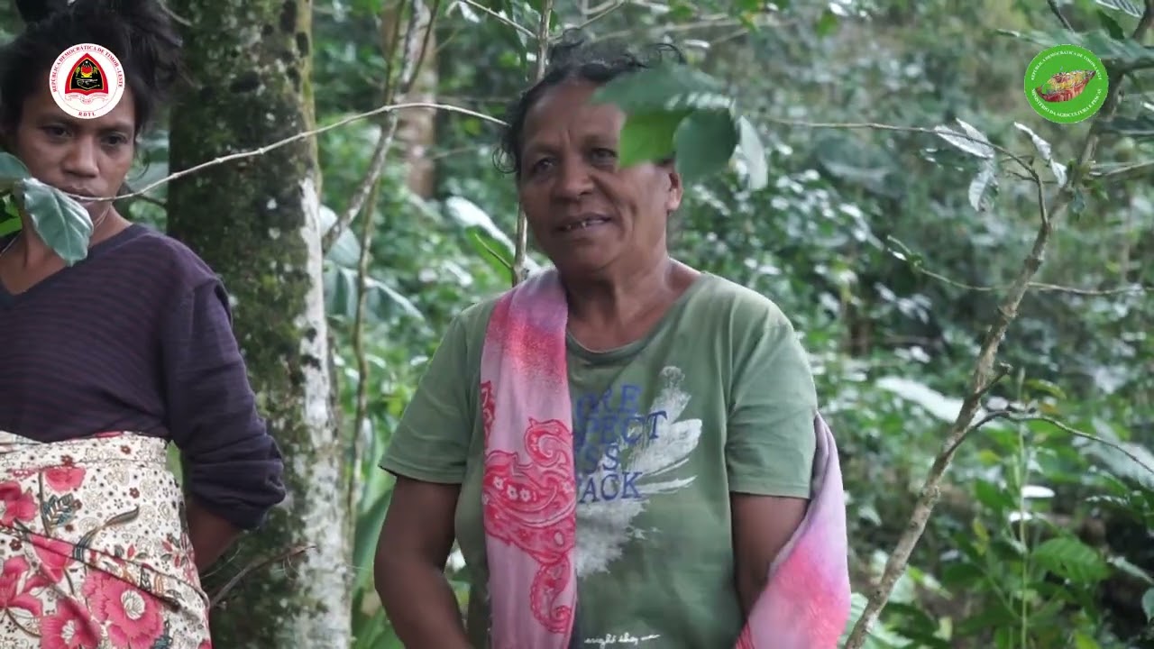 CALIP Parsería Dezenvolvimentu