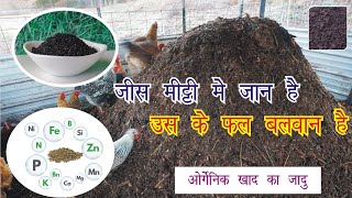 जिस मिट्टी में जान है उसके फल बलवान है । best organic fertilizer