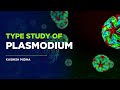 plasmodium life cycle ppt