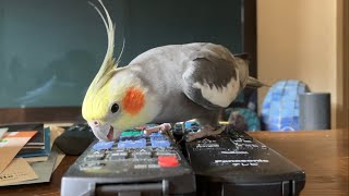 Break The Remote Control