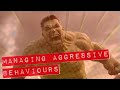 Violence &amp; Aggression: handling aggressive behaviours in Autism and Pathological Demand Avoidance Mp3 Song