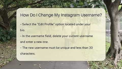 How Do I Change My Instagram Username? - Everyday-Networking