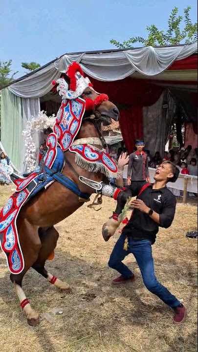 Atraksi kuda renggong kuda silat cuta muda mang dandi