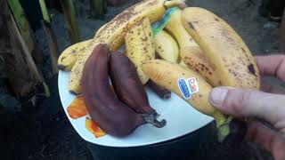 Owoce bananów dostępne w Polsce