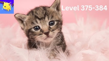 Cat Escape Android Game: Levels 375-384 Walkthrough – Unbelievable Solutions!