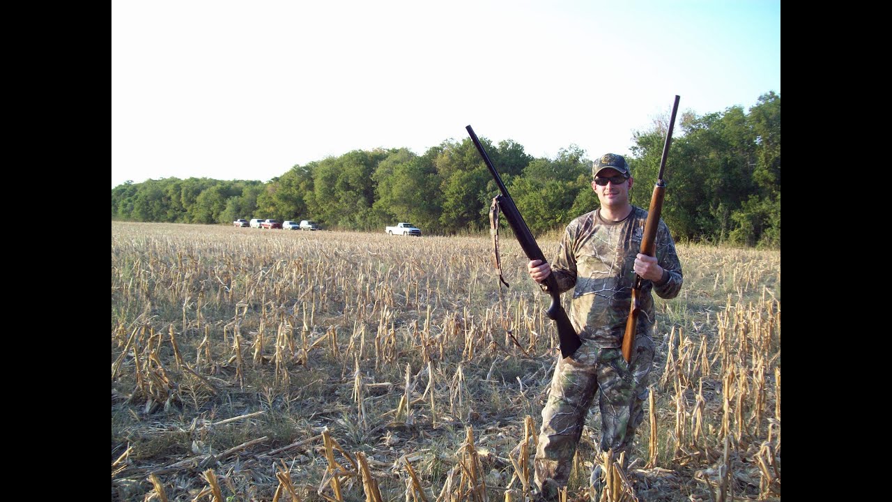 Australians Dove Hunting in Waco Texas 