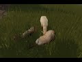 Elk. (Part 1)