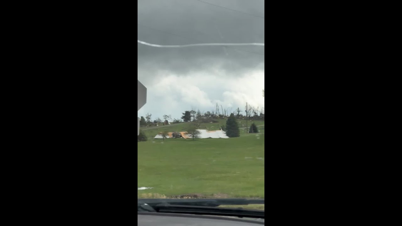 Downed trees and damaged power lines in Elkhorn - YouTube