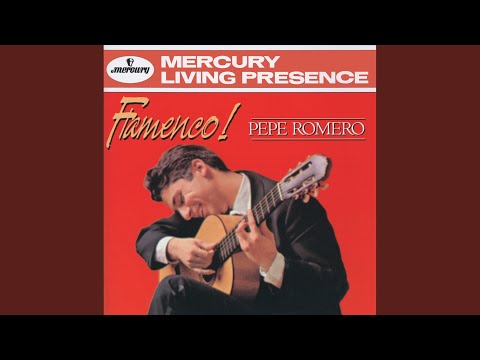 Putar Anonymous: Fiesta en Jerez - Pepe Romero