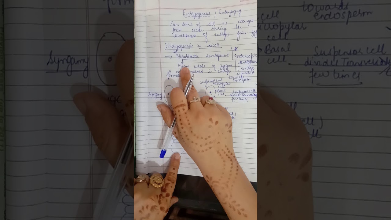 Embryogeny in dicots